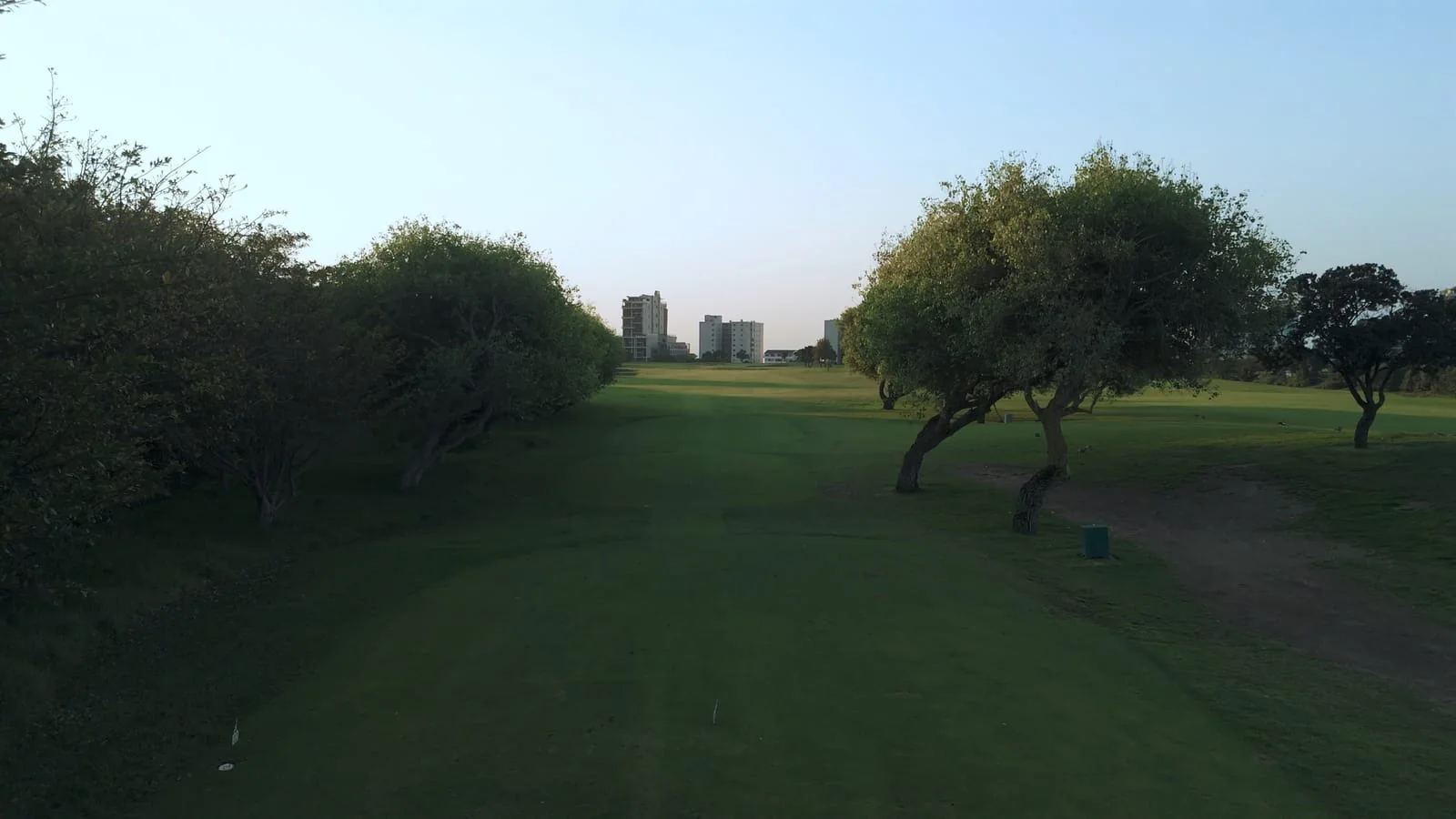 Looking down a fairway from the tee, between the trees